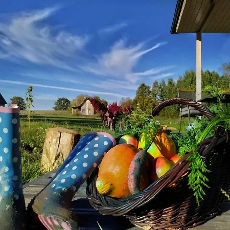 Chwila Pauzy Holiday home *