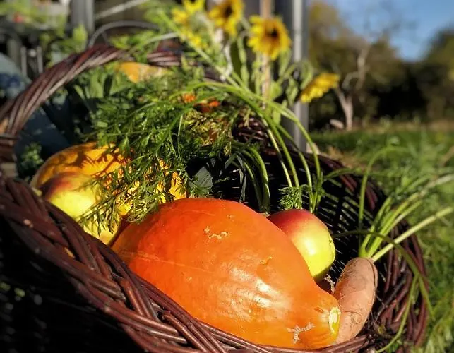 Дом отдыха Chwila Pauzy