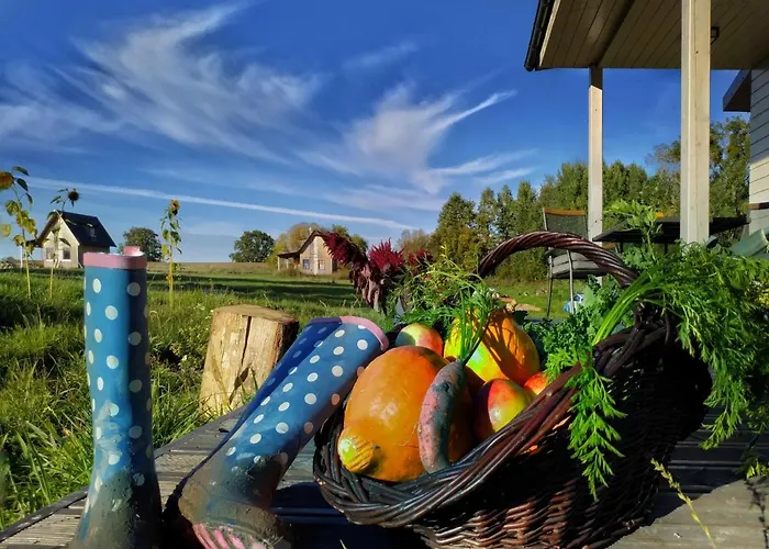 Chwila Pauzy Дом отдыха *