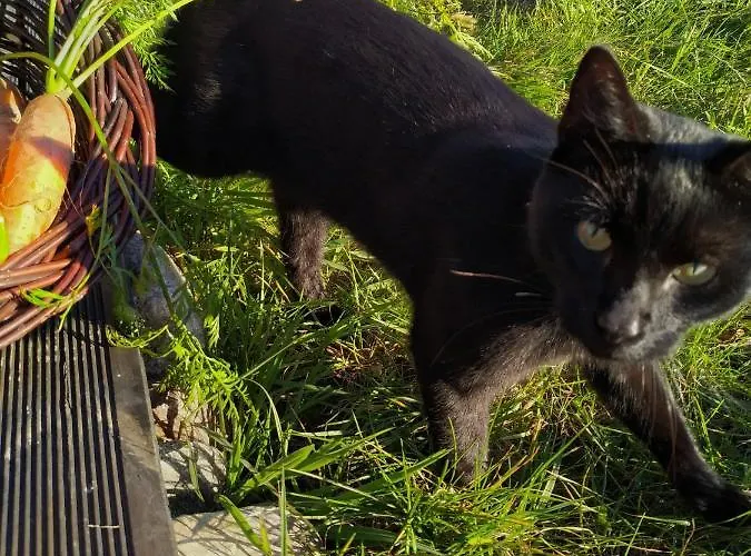 Chwila Pauzy Толькмицко