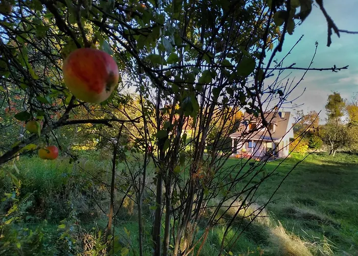 Chwila Pauzy * Толькмицко